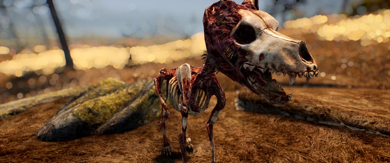 Creation Club mod - Everything Upscaled for Skyrim. Improved textures. Author: HeartAttackMan