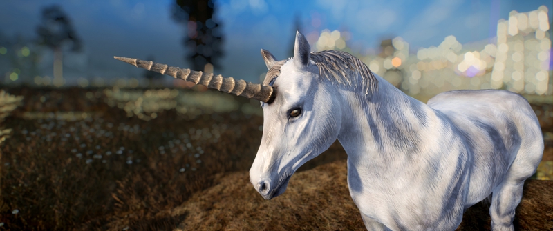 Creation Club - Everything Upscaled mod for Skyrim. Improved textures. Author: HeartAttackMan